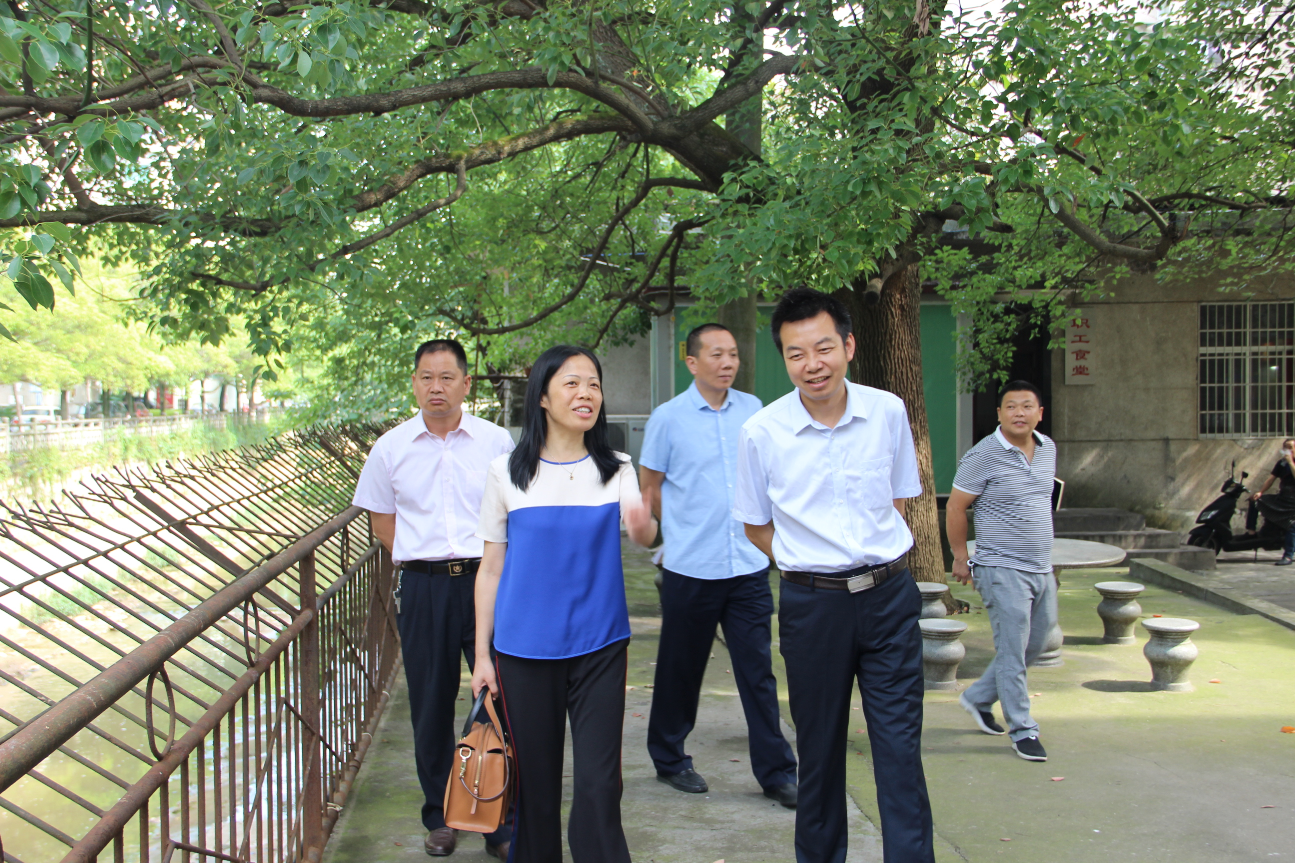 中心党组书记,主任陈兆云陪同市"三创办"查看现场